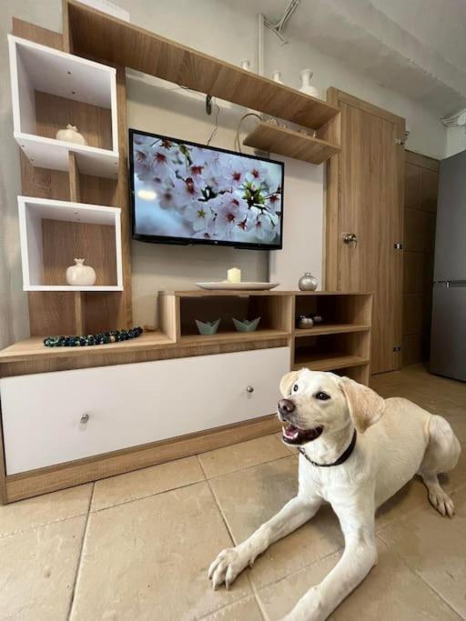 Kareshome-Privacy-View Panormos  Экстерьер фото
